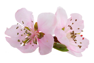 Similar image 10526831