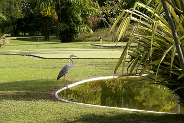 Similar image 10526834