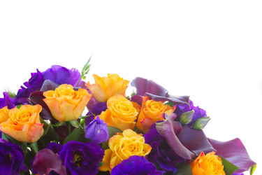 Similar image 10526955