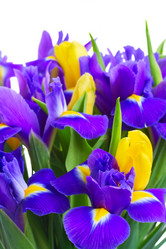 Similar image 10526961