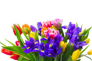 Similar image 10526963