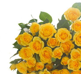 Similar image 10526970