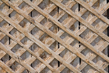 Similar image 10527005