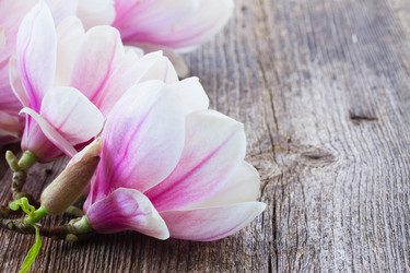 Similar image 10527062