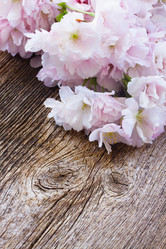 Similar image 10527063