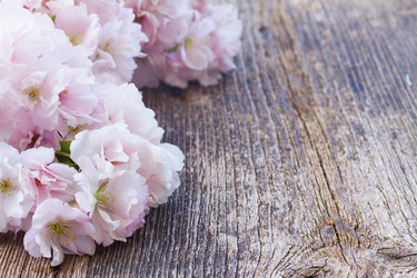 Similar image 10527066