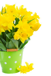 Similar image 10527068