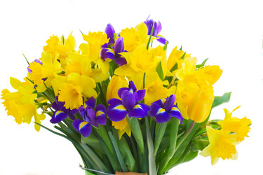 Similar image 10527069