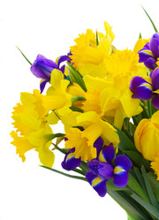 Similar image 10527070