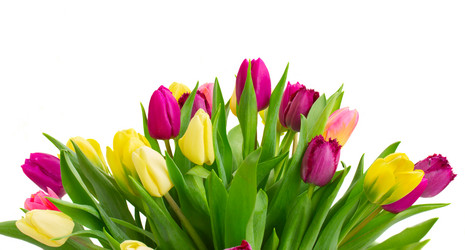 Similar image 10527091