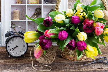 Similar image 10527093