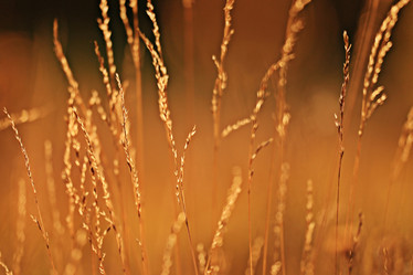 Similar image 10527132