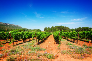 Similar image 10527143