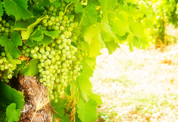 Similar image 10527146