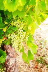 Similar image 10527147