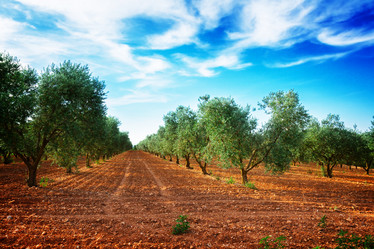 Similar image 10527151