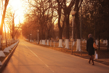 Similar image 10527187