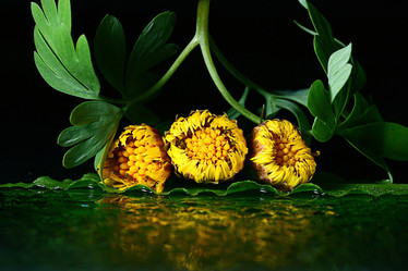 Similar image 10527194