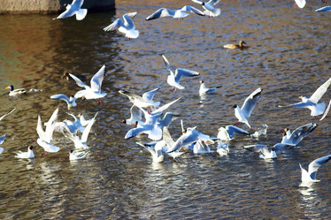 Similar image 10527197