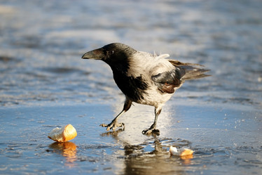 Similar image 10527227