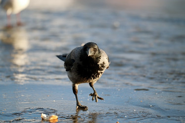 Similar image 10527229