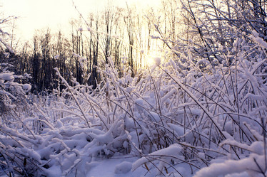 Similar image 10527234