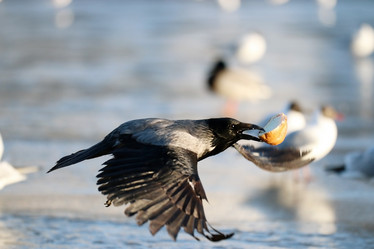 Similar image 10527237