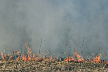 Similar image 10527269