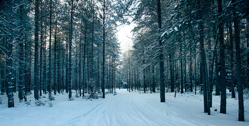 Similar image 10527271