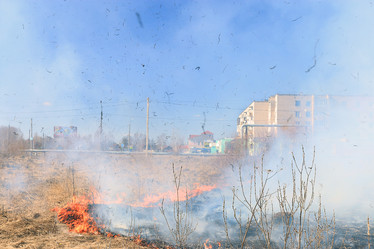 Similar image 10527273