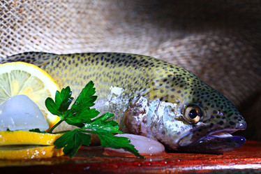 Similar image 10527275