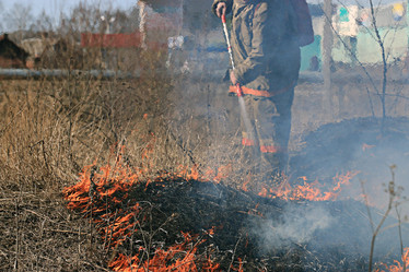 Similar image 10527278