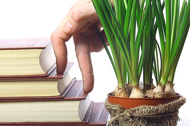 Similar image 10527308