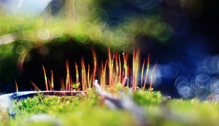 Similar image 10527313