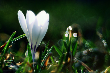 Similar image 10527320