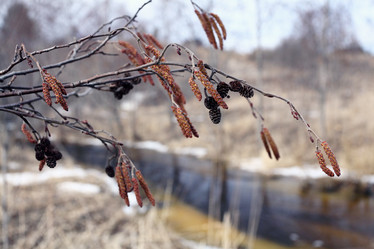 Similar image 10527321