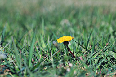 Similar image 10527323