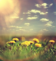 Similar image 10527324