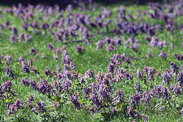 Similar image 10527326