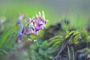 Similar image 10527341