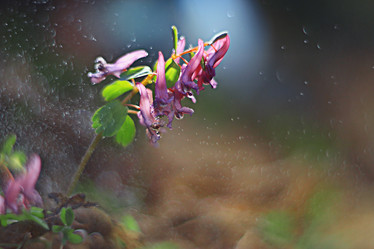 Similar image 10527343