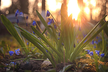 Similar image 10527345