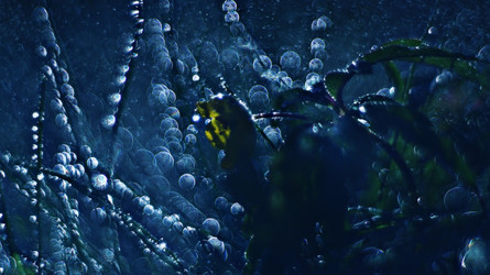 Similar image 10527348