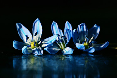 Similar image 10527351