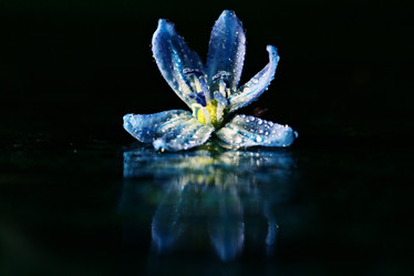 Similar image 10527352