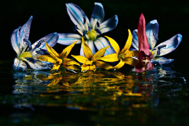 Similar image 10527353