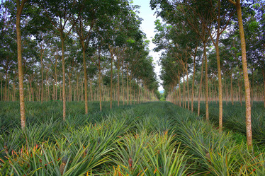 Similar image 10527358