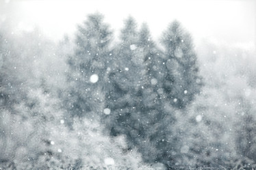 Similar image 10527478