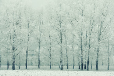 Similar image 10527481