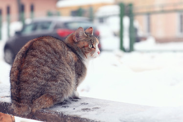 Similar image 10527485